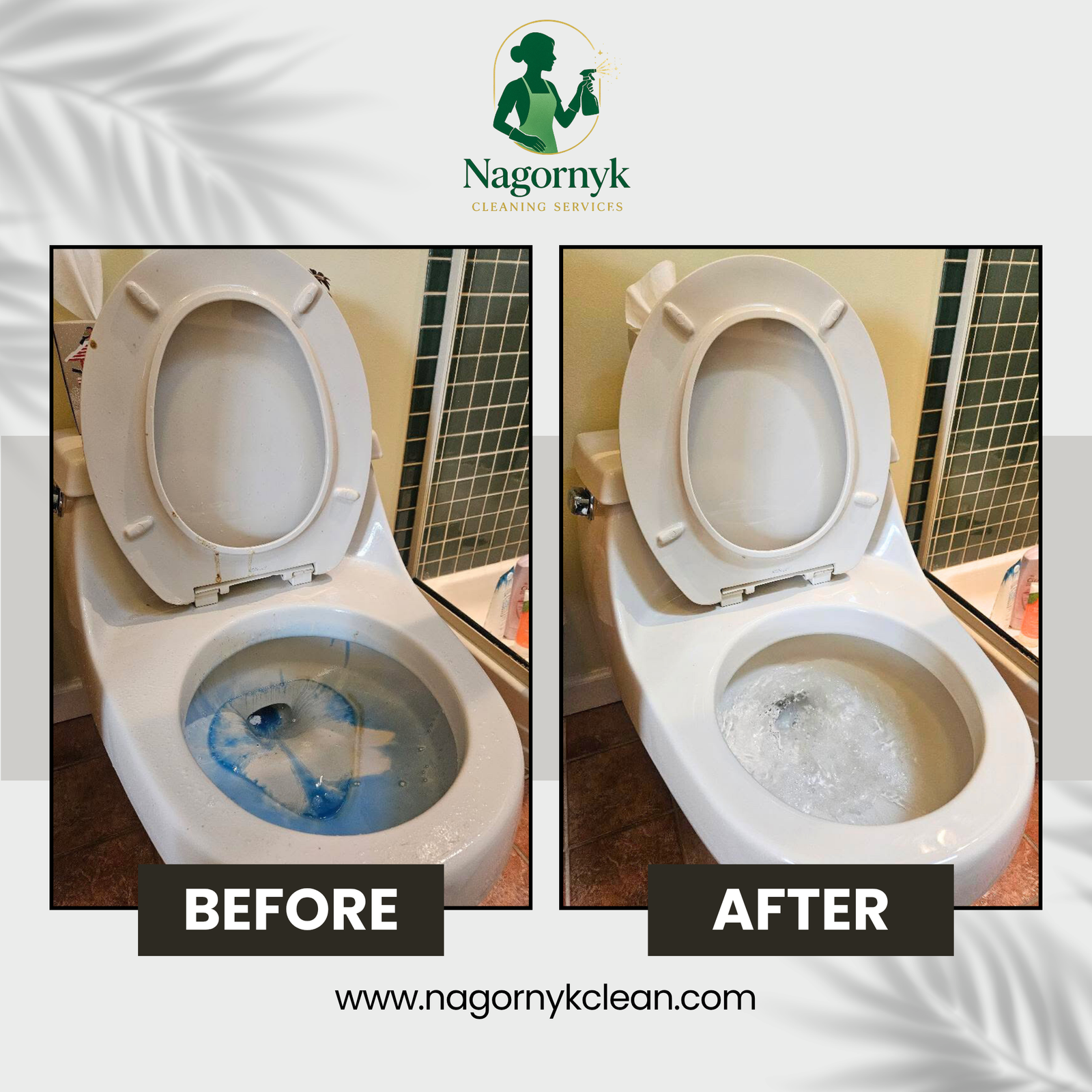 Toilet Bowl Stain Removal