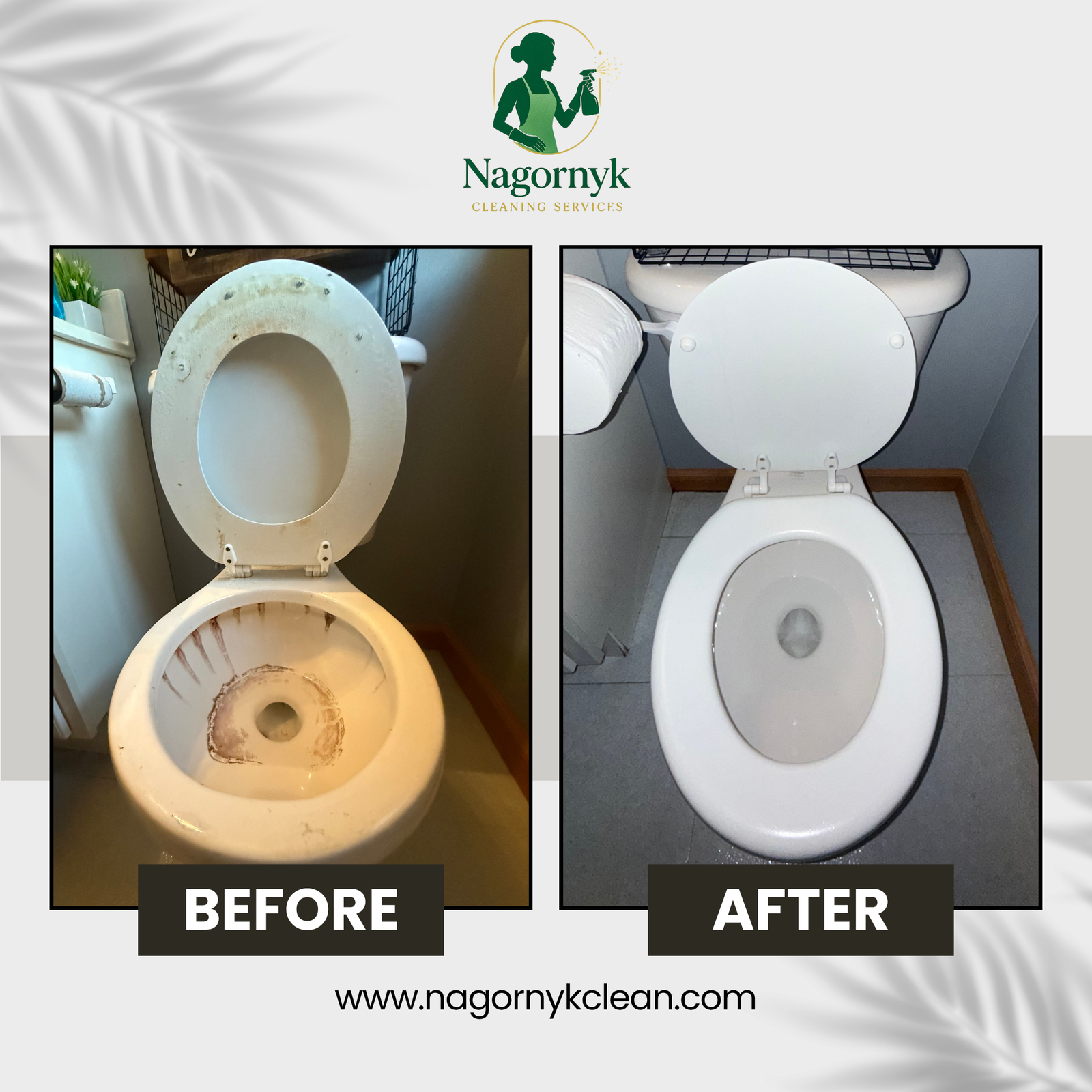 Toilet Bowl Descaling