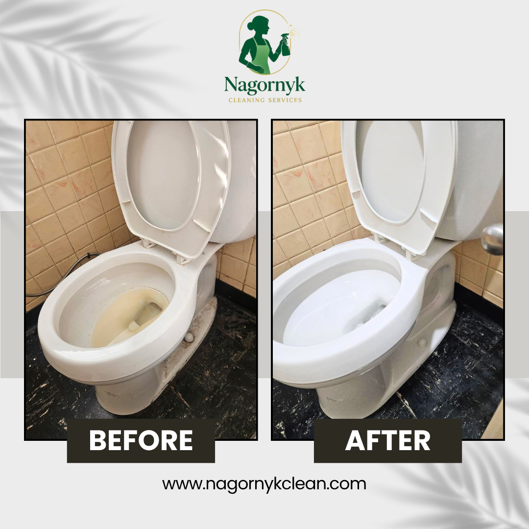 Toilet Bowl Descaling